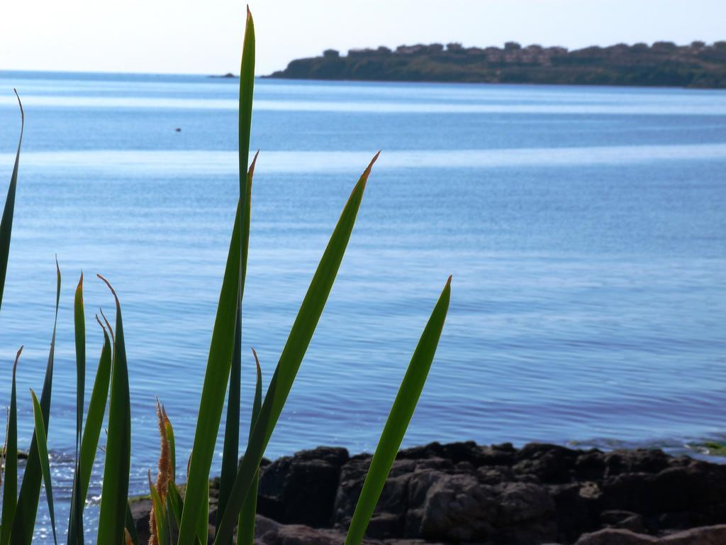 Sea View Apartments Sozopol Quarto foto